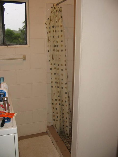 Thistle Dome - Grafton Accommodation 3