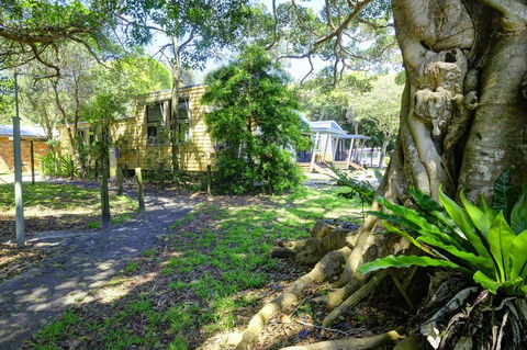 Tiona Holiday Park - Grafton Accommodation 3