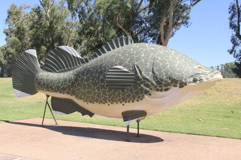 Tocumwal Hotel Motel (The Palms) - Grafton Accommodation 1