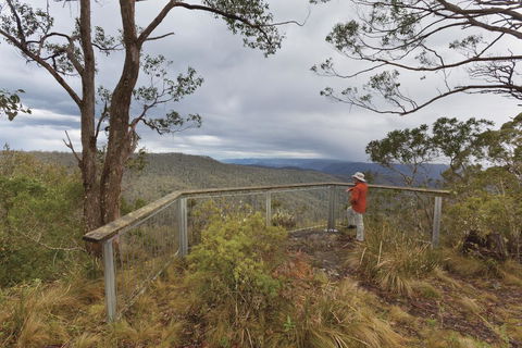 Toms Cabin - Grafton Accommodation 2