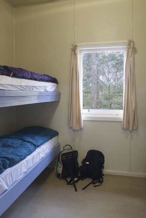 Toms Cabin - Grafton Accommodation 3