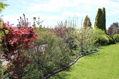 Top Of The Town Motel - Grafton Accommodation 2