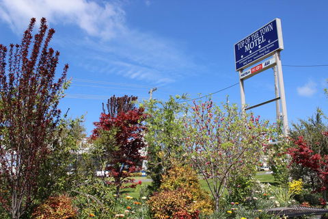 Top Of The Town Motel - Grafton Accommodation 1
