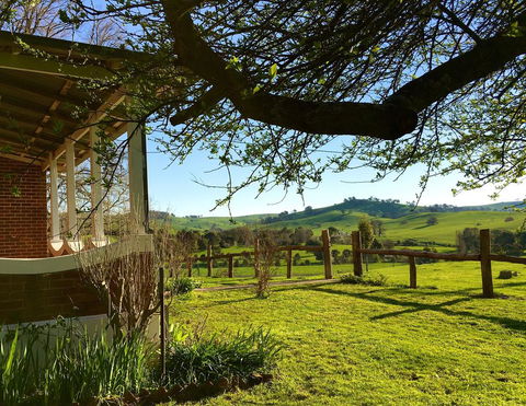 Tracton Homestead - Grafton Accommodation 1