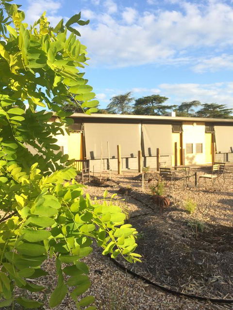Tread Harcourt - Grafton Accommodation 0