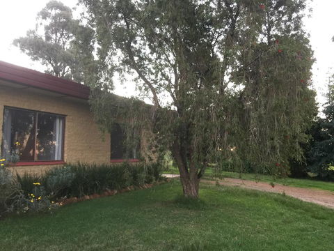 Tree Of Love Farm Stay - Grafton Accommodation 1