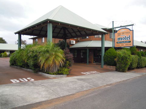 Tree Top Walk Motel - Grafton Accommodation 0