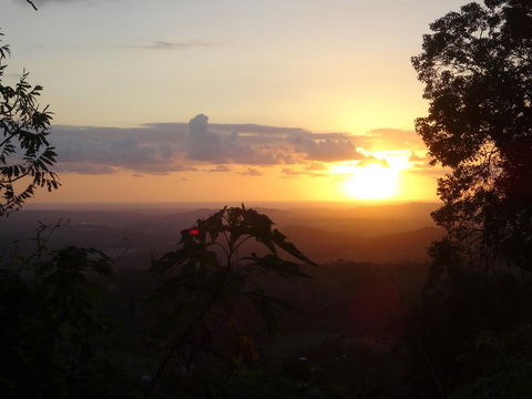 Treetops Montville - Grafton Accommodation 3