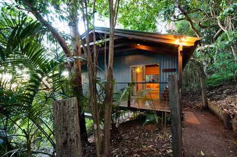 Treetops Seaview Montville - Grafton Accommodation 0