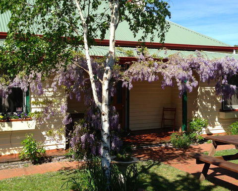Triabunna Cabin & Caravan Park - Grafton Accommodation 1