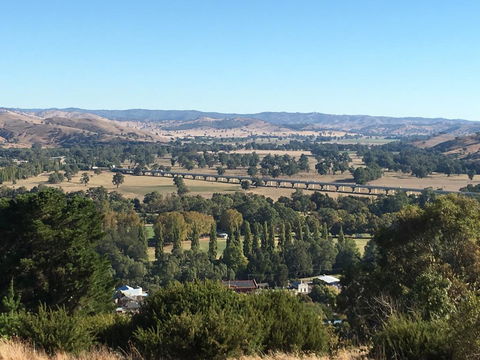 Tuckerbox Motor Inn - Grafton Accommodation 3