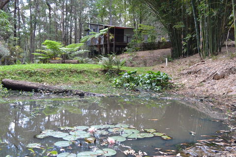 Turmeric Gardens - Grafton Accommodation 3
