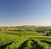 Turners Vineyard Motel - Grafton Accommodation