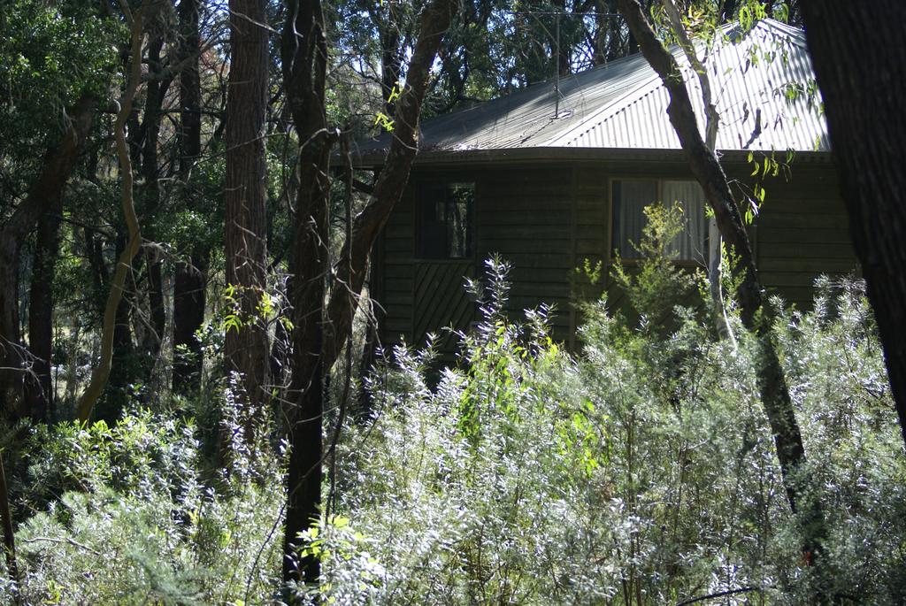 Fitzroy Falls NSW Grafton Accommodation