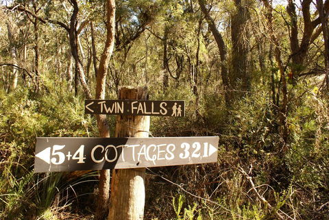 Twin Falls Bush Cottages - Grafton Accommodation 3