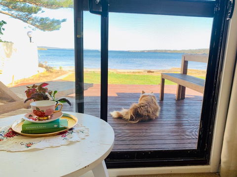 Vandy's Shack At Mount Dutton Bay - Ideal For Couples And Small Families - Grafton Accommodation 3