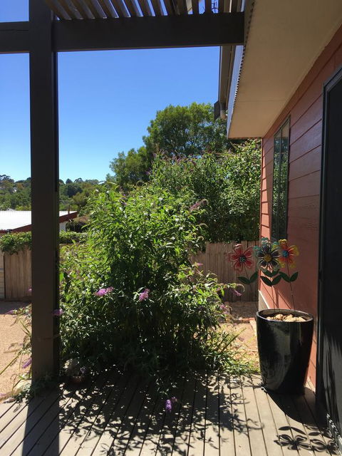 Daydream Cottage - Grafton Accommodation 10