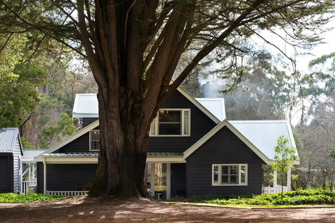 The Orchard - Grafton Accommodation 0