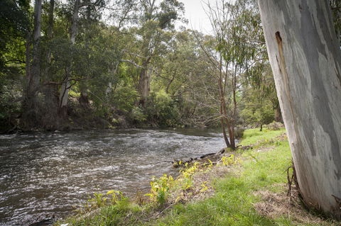 Oscar\'s On The Yarra - Grafton Accommodation 23