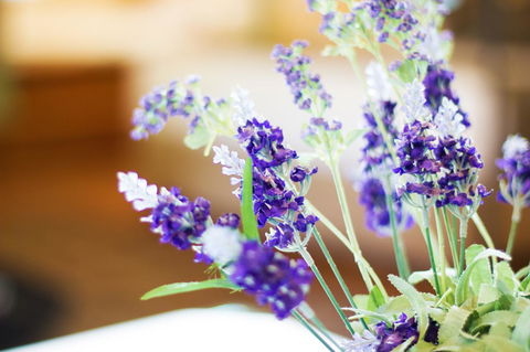 Marwood Villas - Grafton Accommodation 7