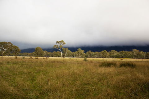 Marwood Villas - Grafton Accommodation 42