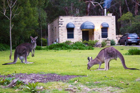 Marwood Villas - Grafton Accommodation 31