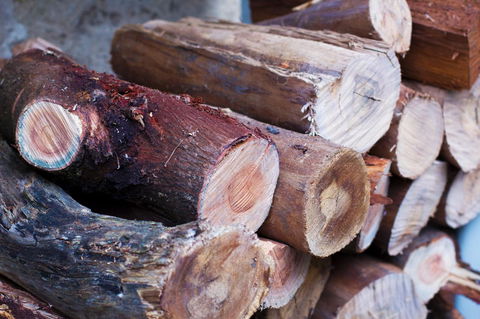 Marwood Villas - Grafton Accommodation 3