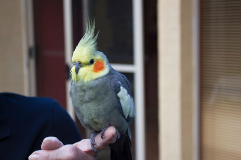 Marwood Villas - Grafton Accommodation 33