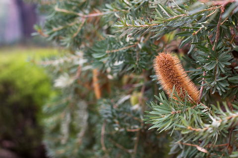 Marwood Villas - Grafton Accommodation 34