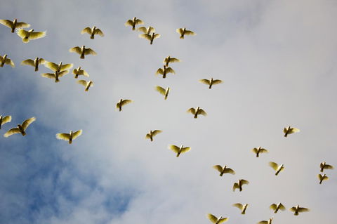 Marwood Villas - Grafton Accommodation 36