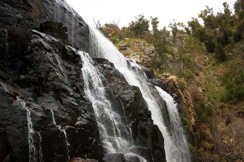 Marwood Villas - Grafton Accommodation 38