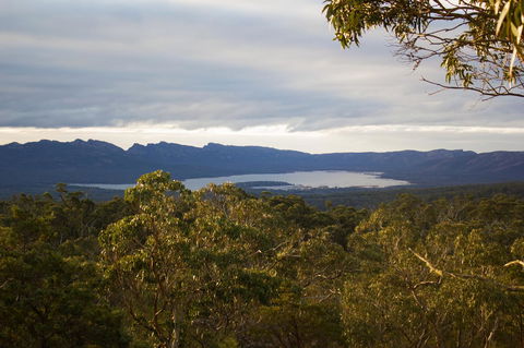 Marwood Villas - Grafton Accommodation 32