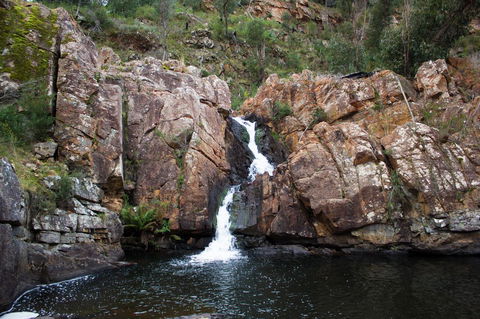 Marwood Villas - Grafton Accommodation 41