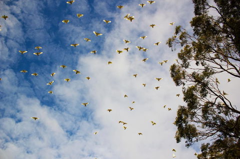 Marwood Villas - Grafton Accommodation 26