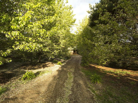 Angel's Rest - Grafton Accommodation 0