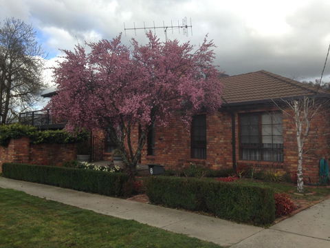 Bricks And Roses - Grafton Accommodation 1