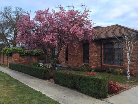 Bricks And Roses - Grafton Accommodation 2