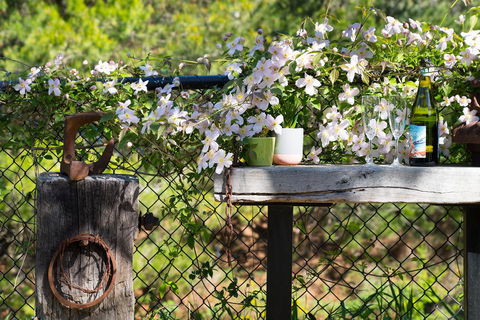 Cottage 4A - Grafton Accommodation 4