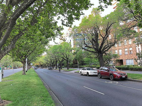 Fawkner Apartment Bay-view 5 - Grafton Accommodation 16
