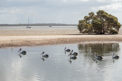 BIG4 Breeze Holiday Parks - Rainbow Beach - Grafton Accommodation 32
