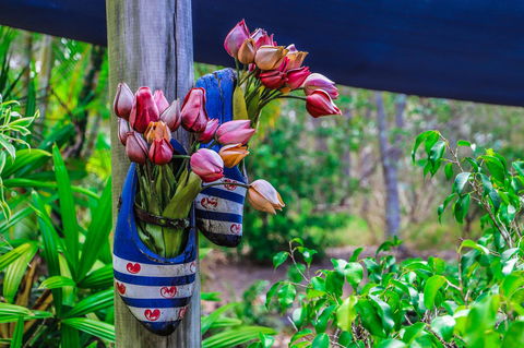 Cool Bananas Backpackers - Grafton Accommodation 26