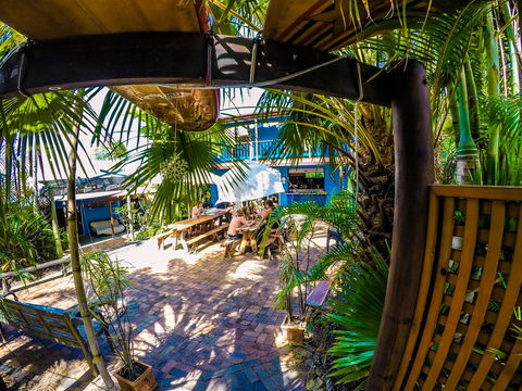 Cool Bananas Backpackers - Grafton Accommodation 0
