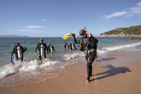 Nomads Magnetic Island - Grafton Accommodation 39