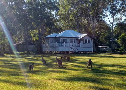 Lake Weyba Noosa Lodge & Kangaroos - Grafton Accommodation 0