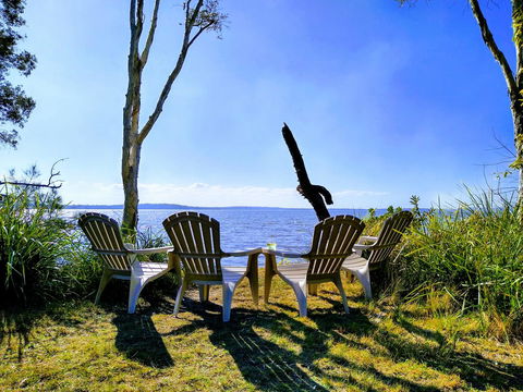 Lake Weyba Noosa Lodge & Kangaroos - Grafton Accommodation 44