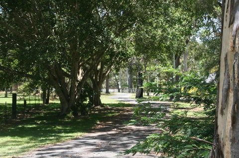 Lake Weyba Noosa Lodge & Kangaroos - Grafton Accommodation 34