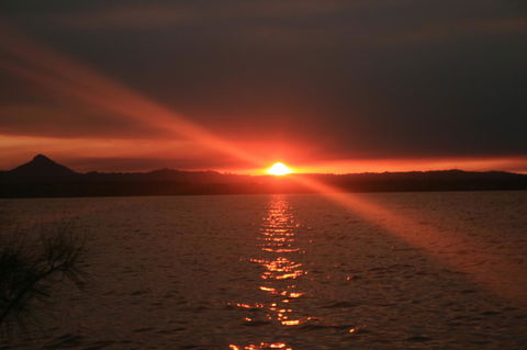 Lake Weyba Noosa Lodge & Kangaroos - Grafton Accommodation 41