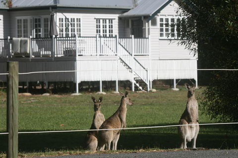 Lake Weyba Noosa Lodge & Kangaroos - Grafton Accommodation 28