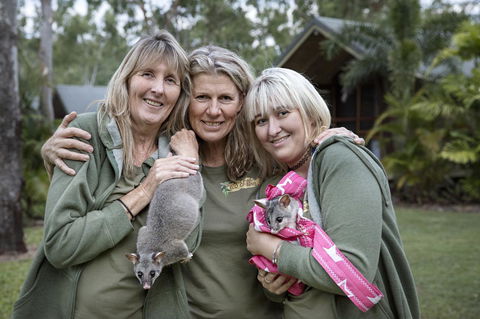 Airlie Beach Eco Cabins - Adults Only - Grafton Accommodation 23