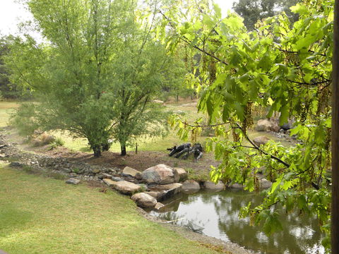 Granite Belt Retreat And Brewery - Grafton Accommodation 21